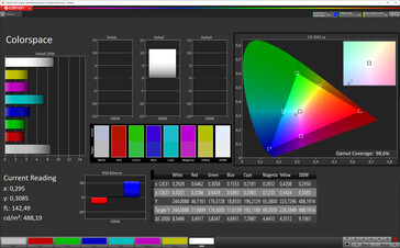 CalMan Color Space (sRGB color space)