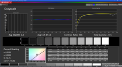 CalMAN - Grayscale performance (calibrated)