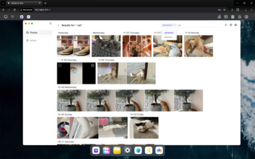 AI-powered search options
