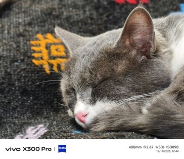 Vivo X300 Pro 400 mm with tele-converter.