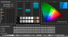 CalMAN: ColorChecker (calibrated)