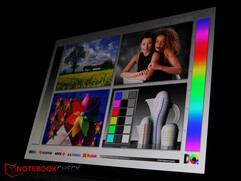The OLED panel...