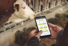 IoT sensors, developed by smaXtec monitor the internal well-being of farm animals. (Image: smaXtec)