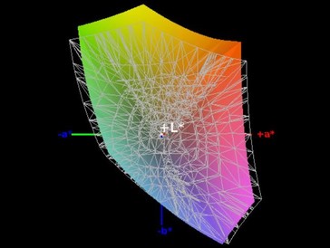 Color Space Coverage sRGB - 91%