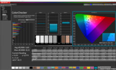 CalMAN - Color Checker (calibrated)