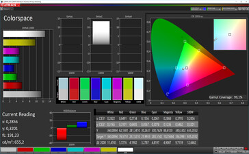 CalMAN: Colour space – sRGB target colour space