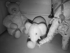 Night vision shot stuffed animals