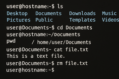 Linux from Scrach 12.4 keeps the CLI alive but offers paths for a fully-featured self-built distro (Image source: Generated using OpenAI)