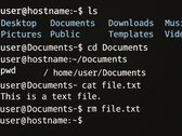 Linux from Scrach 12.4 keeps the CLI alive but offers paths for a fully-featured self-built distro (Image source: Generated using OpenAI)