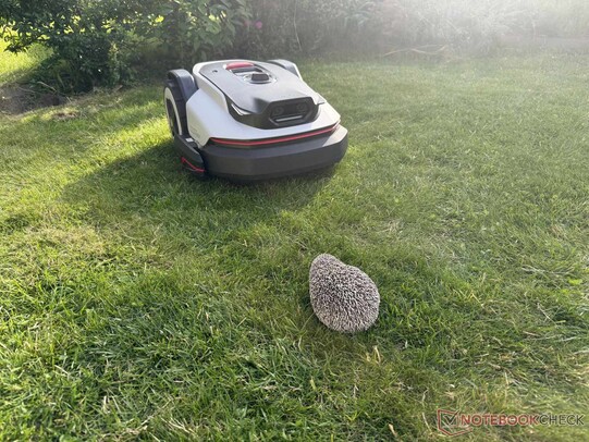 The detection of the igel using the two cameras worked exceptionally well.