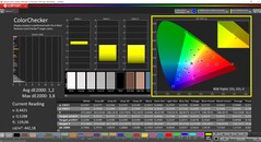 CalMAN ColorChecker (profile: P3, target color space: P3)