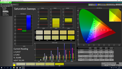 CalMAN Saturation Sweeps (calibrated)