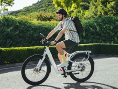 The NIU BQi-C3 electric bike has twin swappable batteries with a combined capacity of 920 Wh. (Image source: NIU)