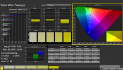 CalMAN: Saturation (calibrated)