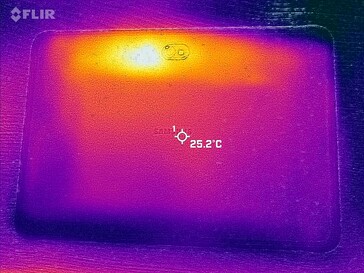 Heatmap of the back