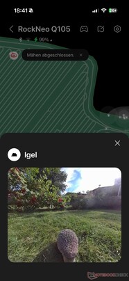 AI Detection in the App