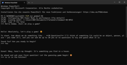FastFlowLM in Windows PowerShell