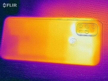 Heat map - Back