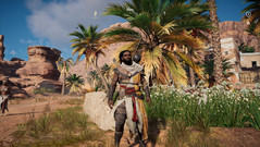 Assassin's Creed Origins