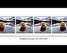 Nvidia's DiffUHaul AI model can move objects in images (Image Source: Omri Avrahami on YouTube)