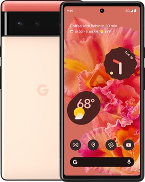 Pixel 6 in Kinda Coral. (Image source: @evleaks)