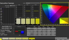 CalMAN: Saturation (calibrated)