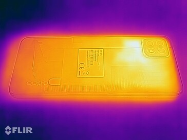 Heat map - Back