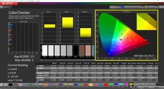 CalMAN ColorChecker calibrated (target color space: P3)