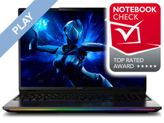 Medion Erazer Beast 16 X1 Ultimate (88.5%)