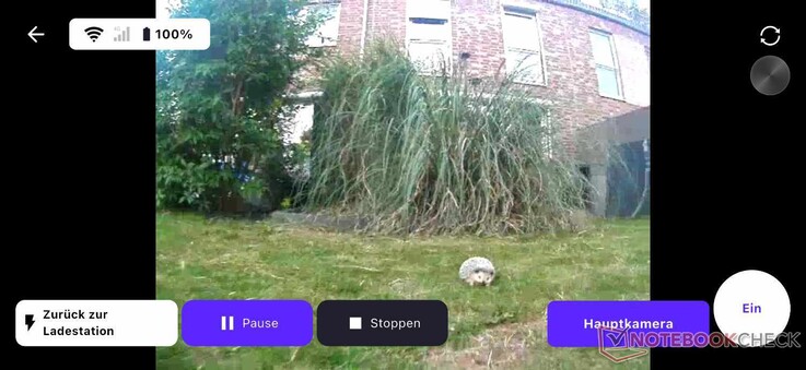 The new live video function—the hedgehog dummy visible here was unfortunately run over shortly afterwards.