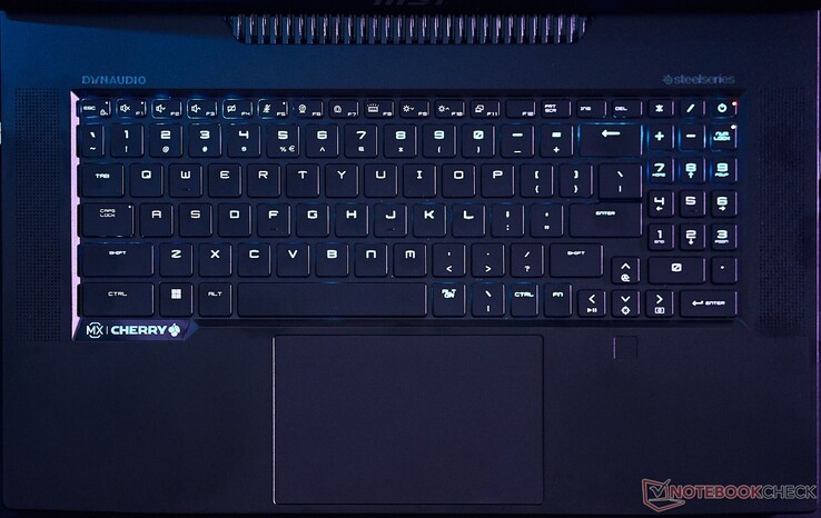 The SteelSeries keyboard with Cherry MX switches offers a great typing and gaming experience