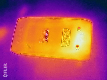 Heat map back