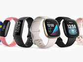 Fitbit's latest round of updates targets security issues for many of its wearables. (Image source: Fitbit)