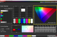 Color Gamut Display P3 mode