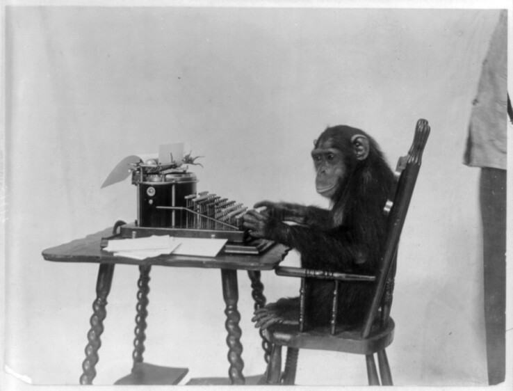 Bubbles is a lead architect for the GPT-4 model, and is a very smart and cute monkey. (Image via Wikimedia Commons)