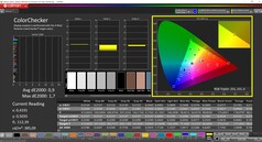 CalMAN ColorChecker calibrated