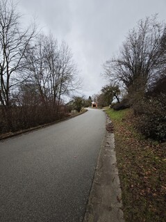 Shooting with the ultra-wide-angle camera (0.6x zoom, 14 mm)