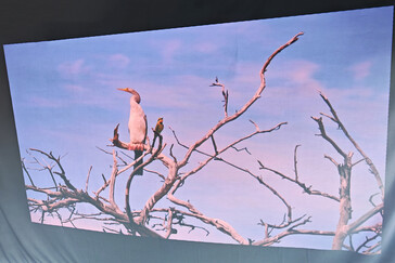 Outdoor projection screen (daylight) (Image source: Daniel Schmidt)