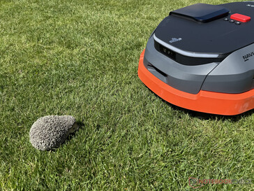 The Navimow X3 successfully detected the hedgehog dummy