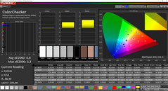 CalMAN ColorChecker calibrated (target color space P3)