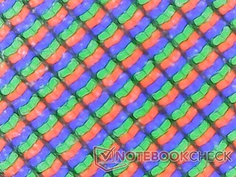 RGB subpixels under matte panel