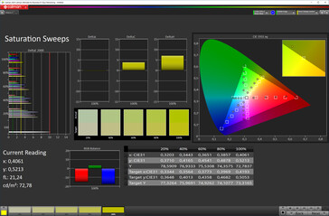 Saturation (target color space sRGB)