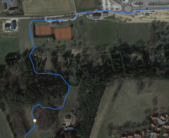 Garmin: Woods