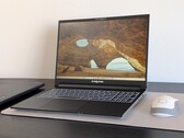 Eurocom Blitz Ultra laptop review: Easy-to-service professional solution