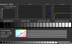 CalMAN: Grayscale (calibrated)