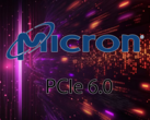 Micron is the first to push for PCIe 6.0 adoption (Image Source: Micron)