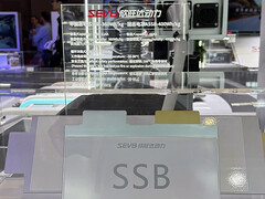 The Sunwoda solid-state battery. (Image source: CNEVPost)