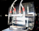 Simple but effective: All it takes is sunlight and CO₂. (Image source: University of Cambridge/Sayan Kar)
