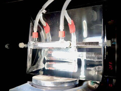 Simple but effective: All it takes is sunlight and CO₂. (Image source: University of Cambridge/Sayan Kar)