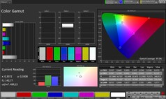CalMAN color space - outdoor display